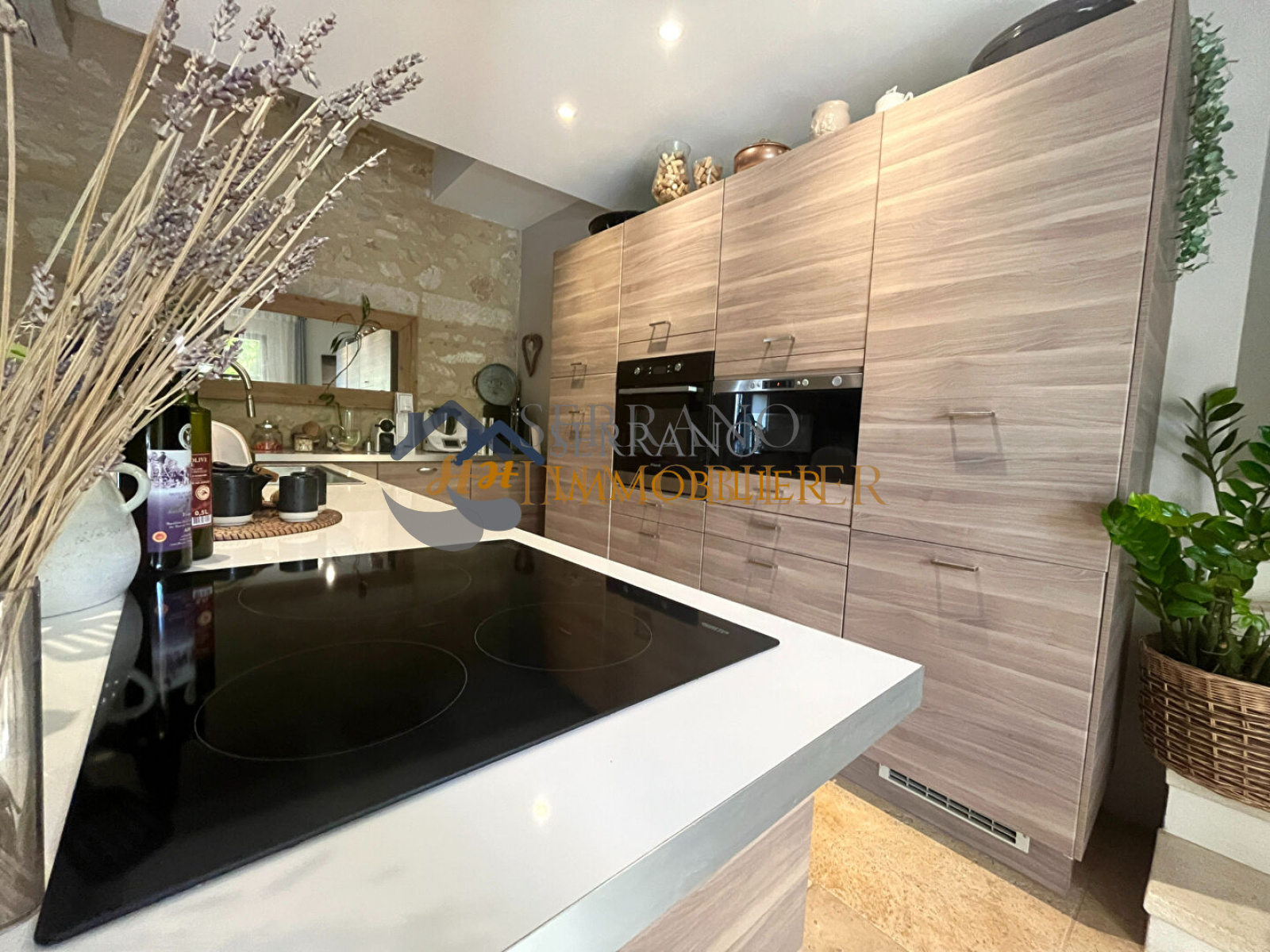 Image_, Maison, Beaucaire, ref :75-b