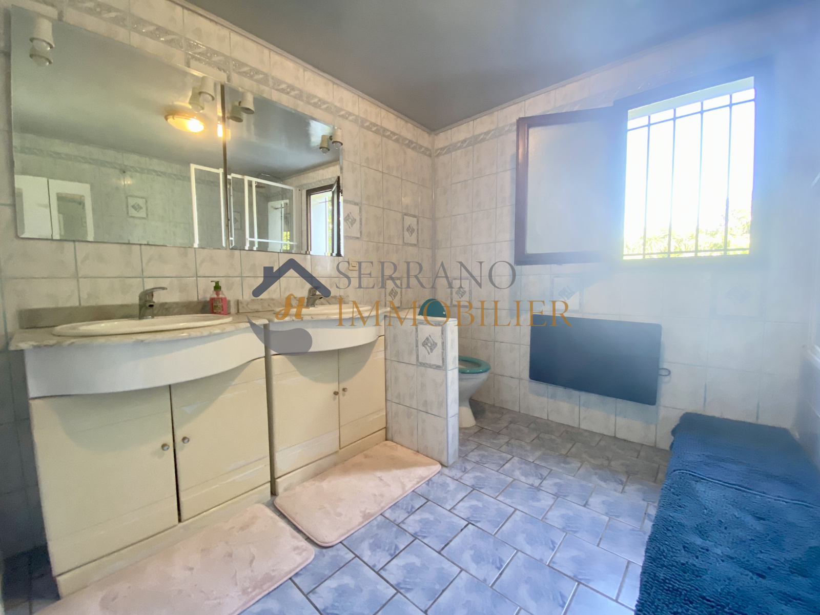 Image_, Maison, Saint-Étienne-du-Grès, ref :160-b
