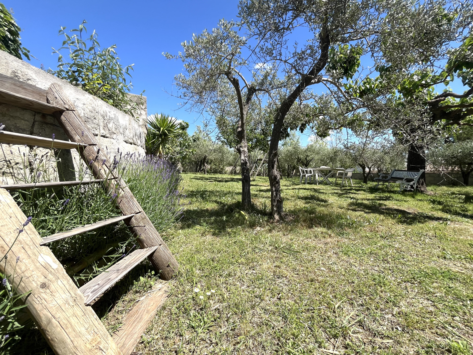 Image_, Maison, Beaucaire, ref :145-b