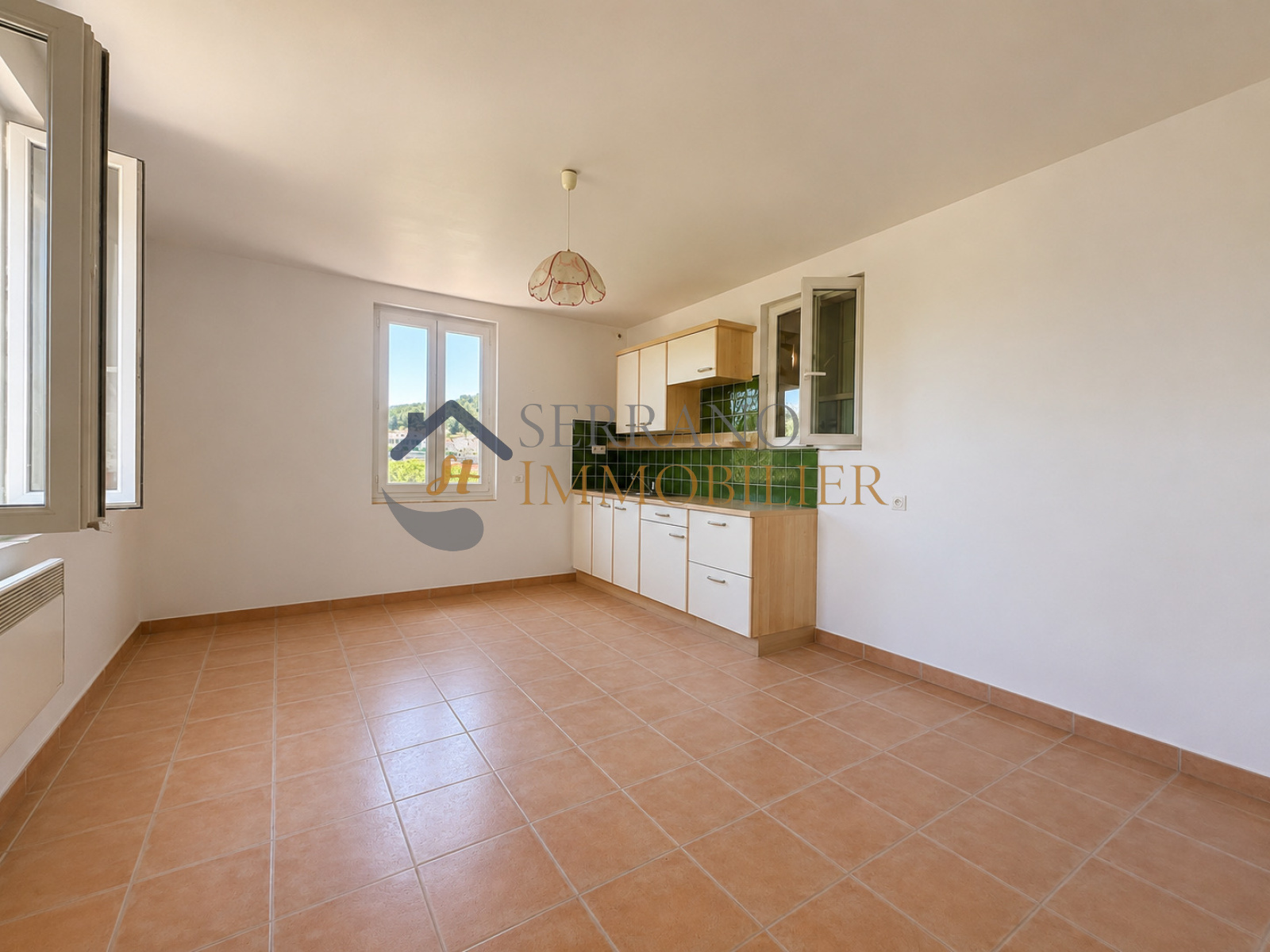 Image_, Maison, Beaucaire, ref :234-b