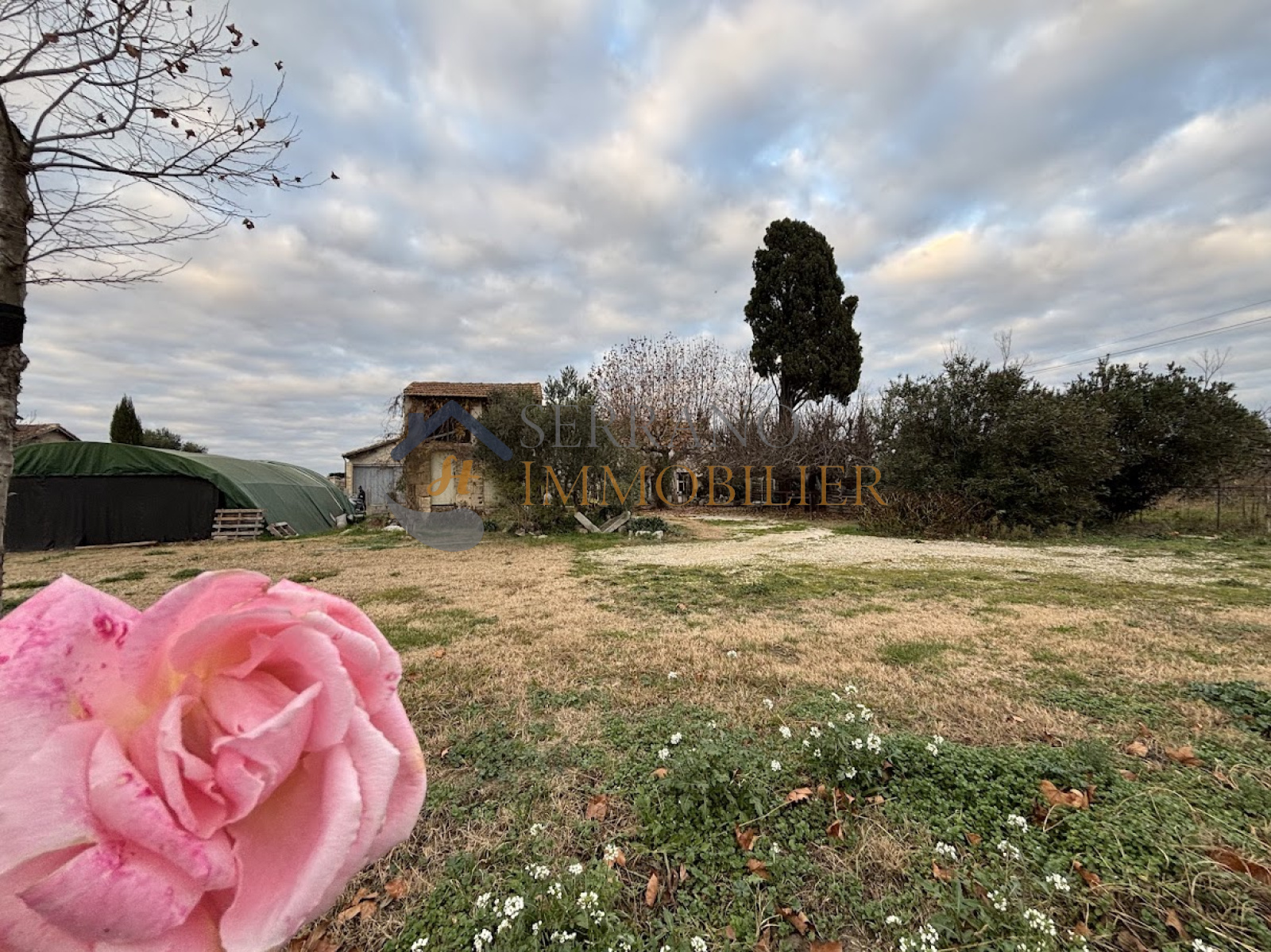 Image_, Maison, Vallabrègues, ref :192-b