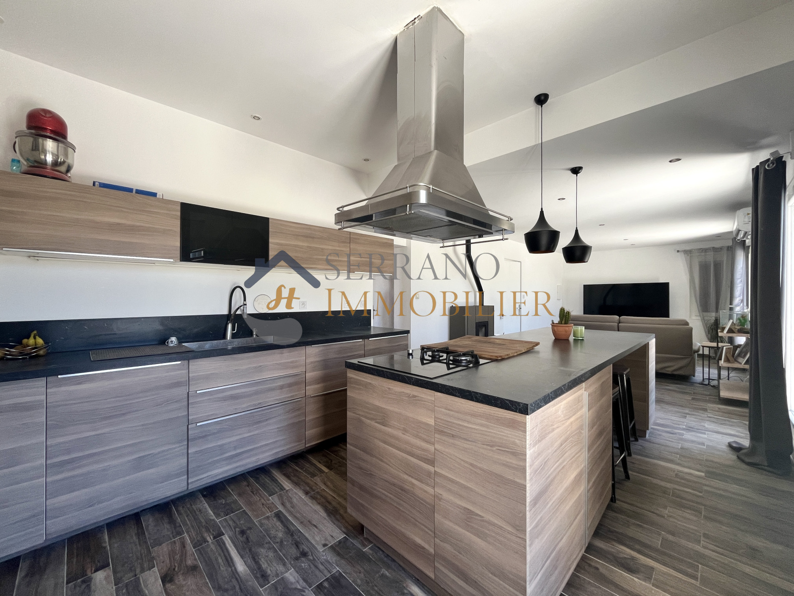 Image_, Maison, Beaucaire, ref :159-b