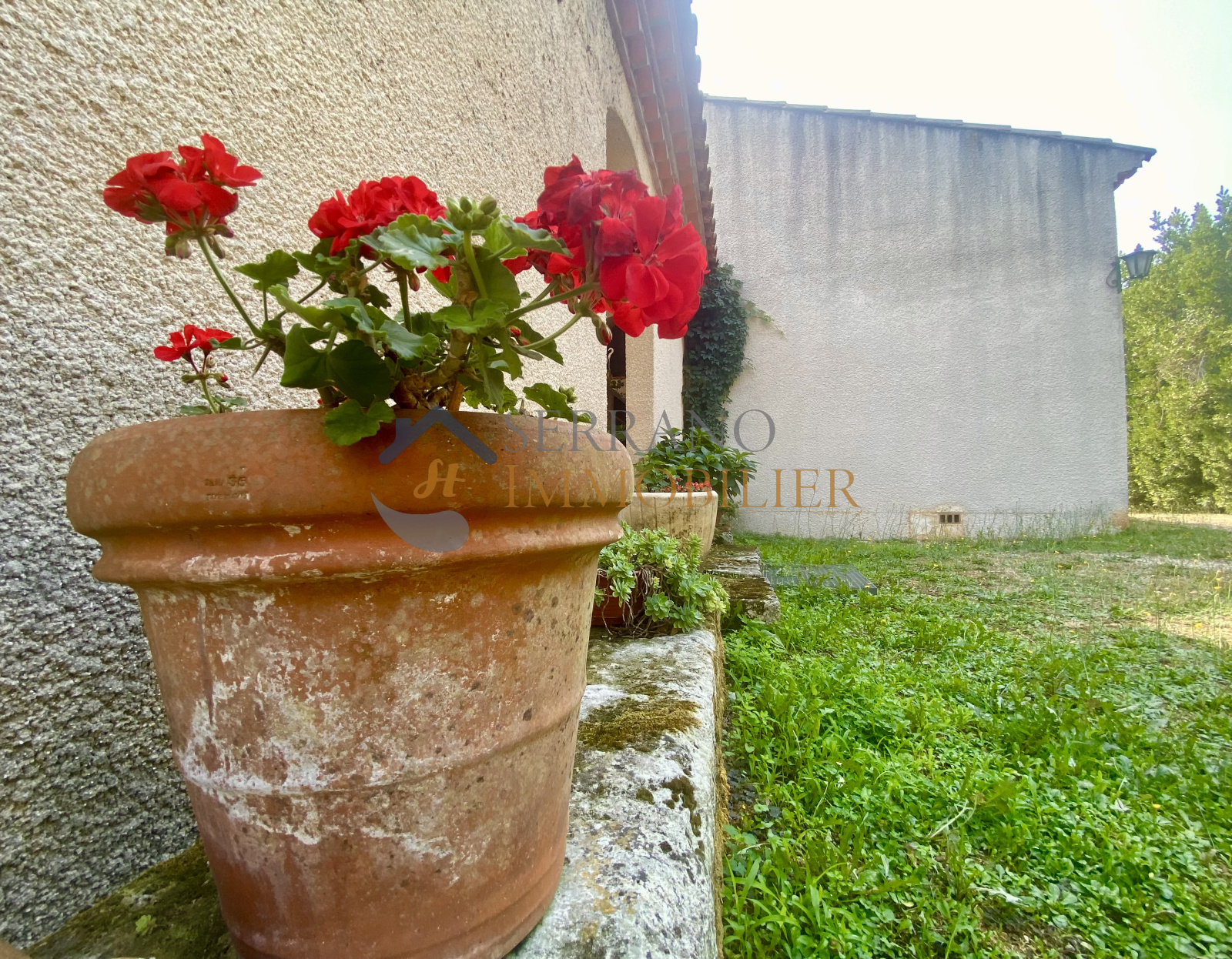 Image_, Maison, Jonquières-Saint-Vincent, ref :170-b