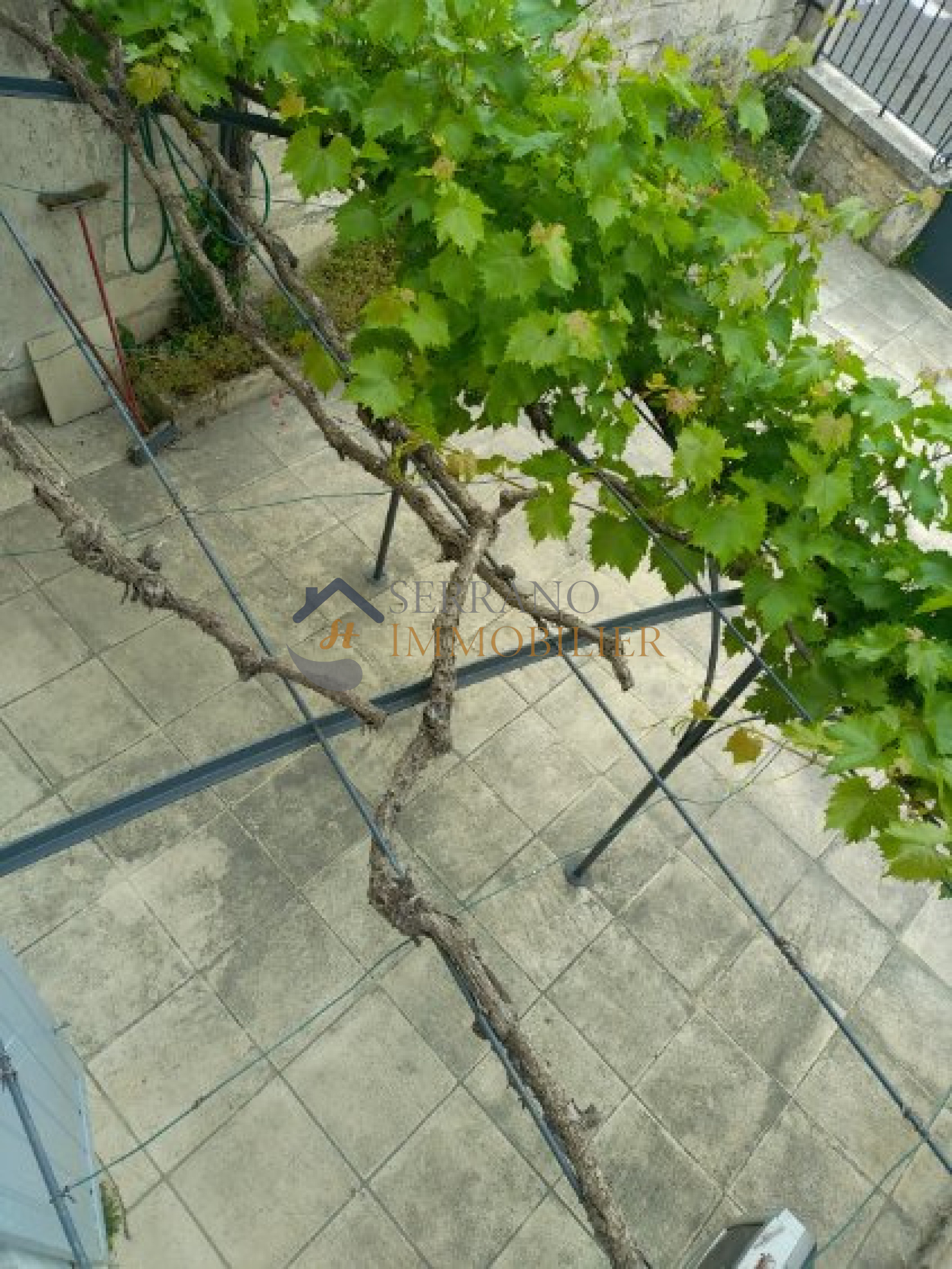 Image_, Maison, Châteaurenard, ref :530