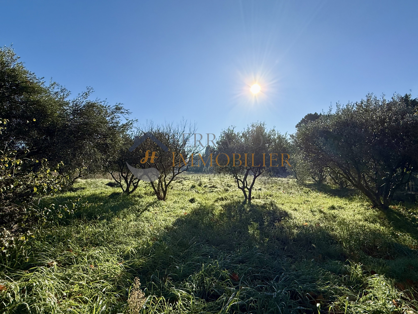 Image_, Maison, Châteaurenard, ref :624