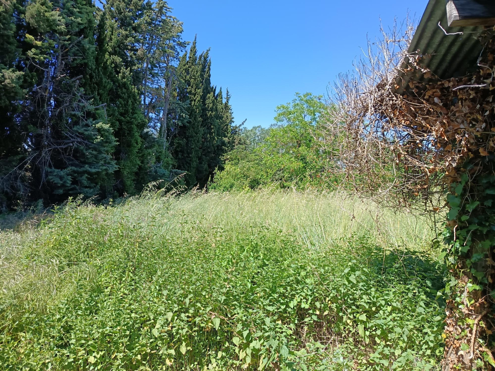 Image_, Maison, Cabannes, ref :758
