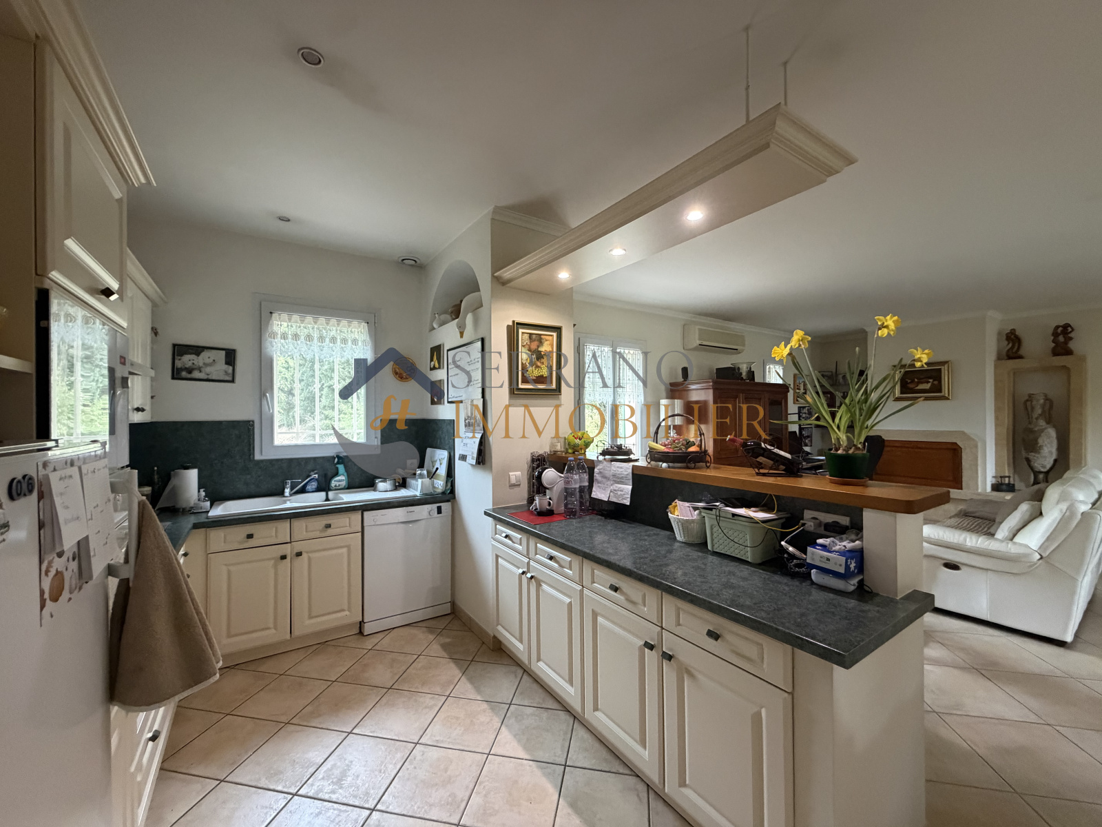 Image_, viager maison, Saint-Rémy-de-Provence, ref :862