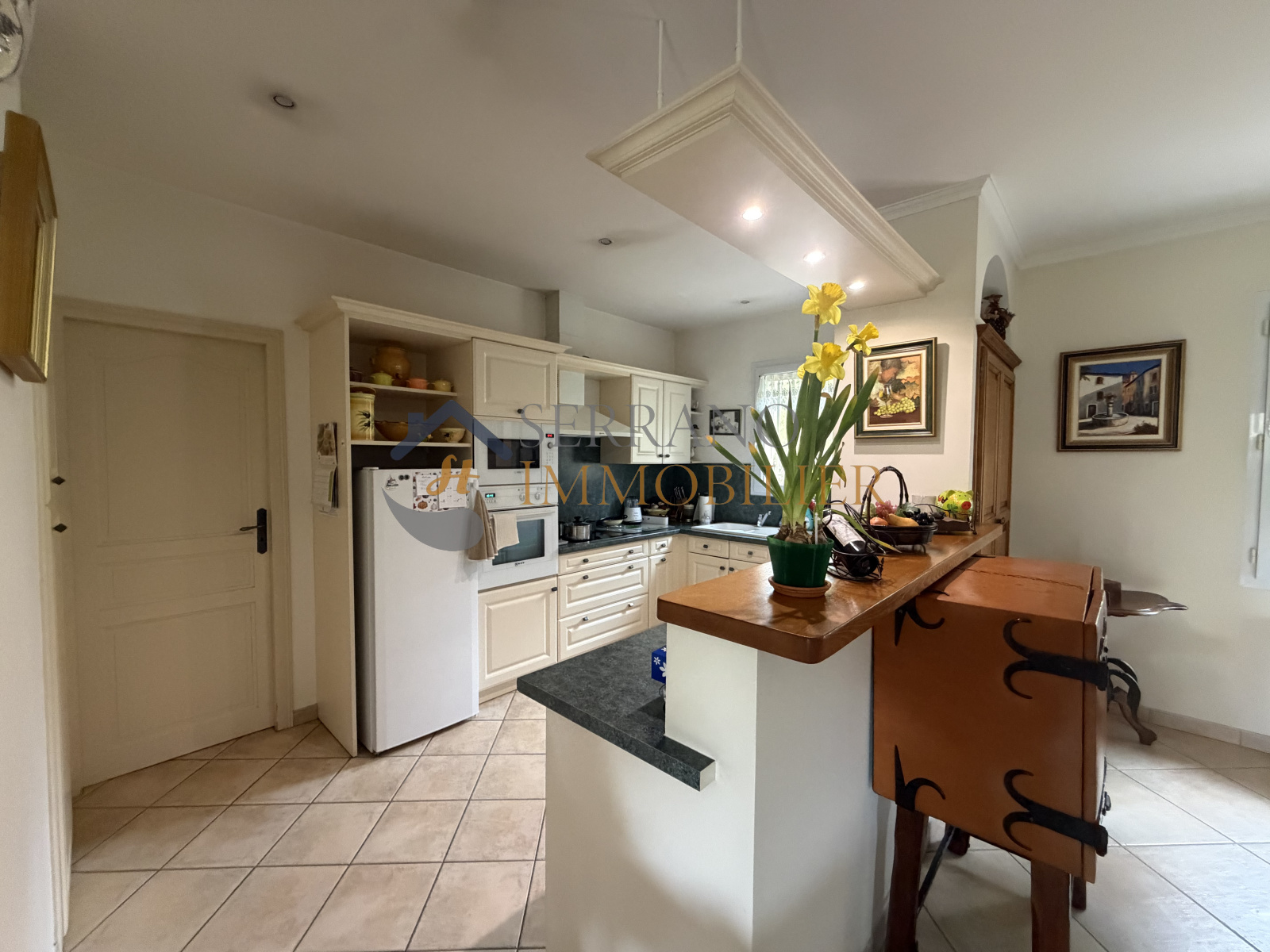 Image_, viager maison, Saint-Rémy-de-Provence, ref :862