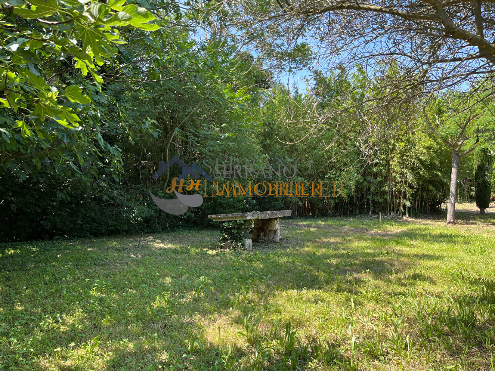 Image_, Maison, Châteaurenard, ref :544